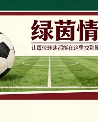 IM电竞-情绪失控：前国脚遭处罚